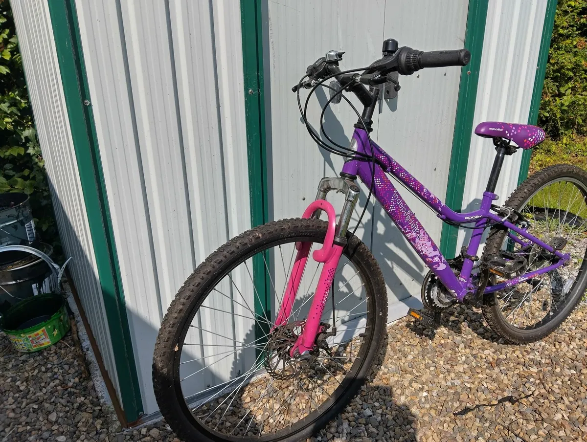 Apollo junior mountain bike - Image 2