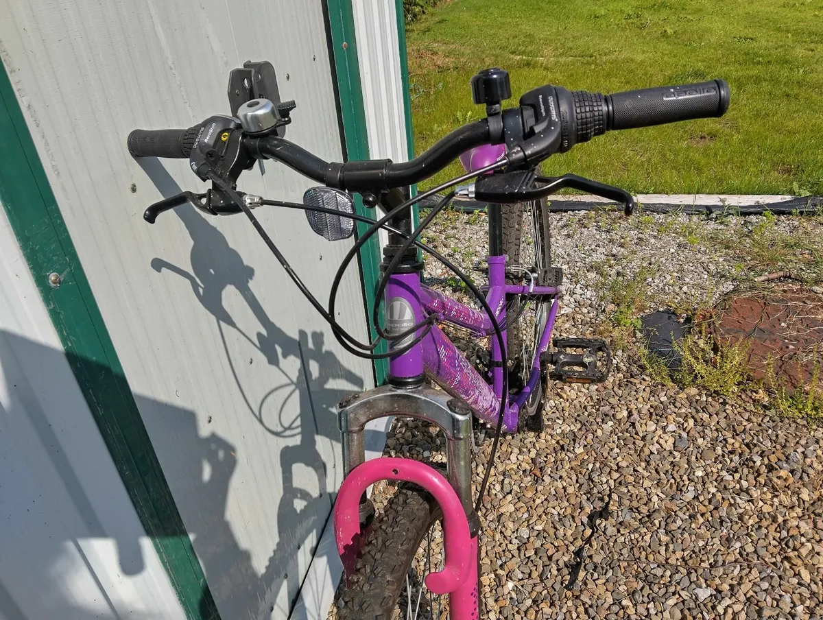 Apollo junior mountain bike - Image 4