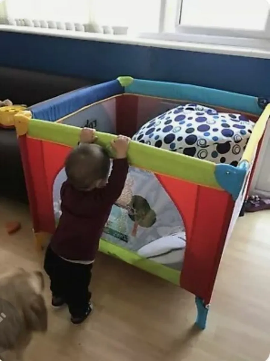 Travel cot and play cot 2 in 1 - Image 3