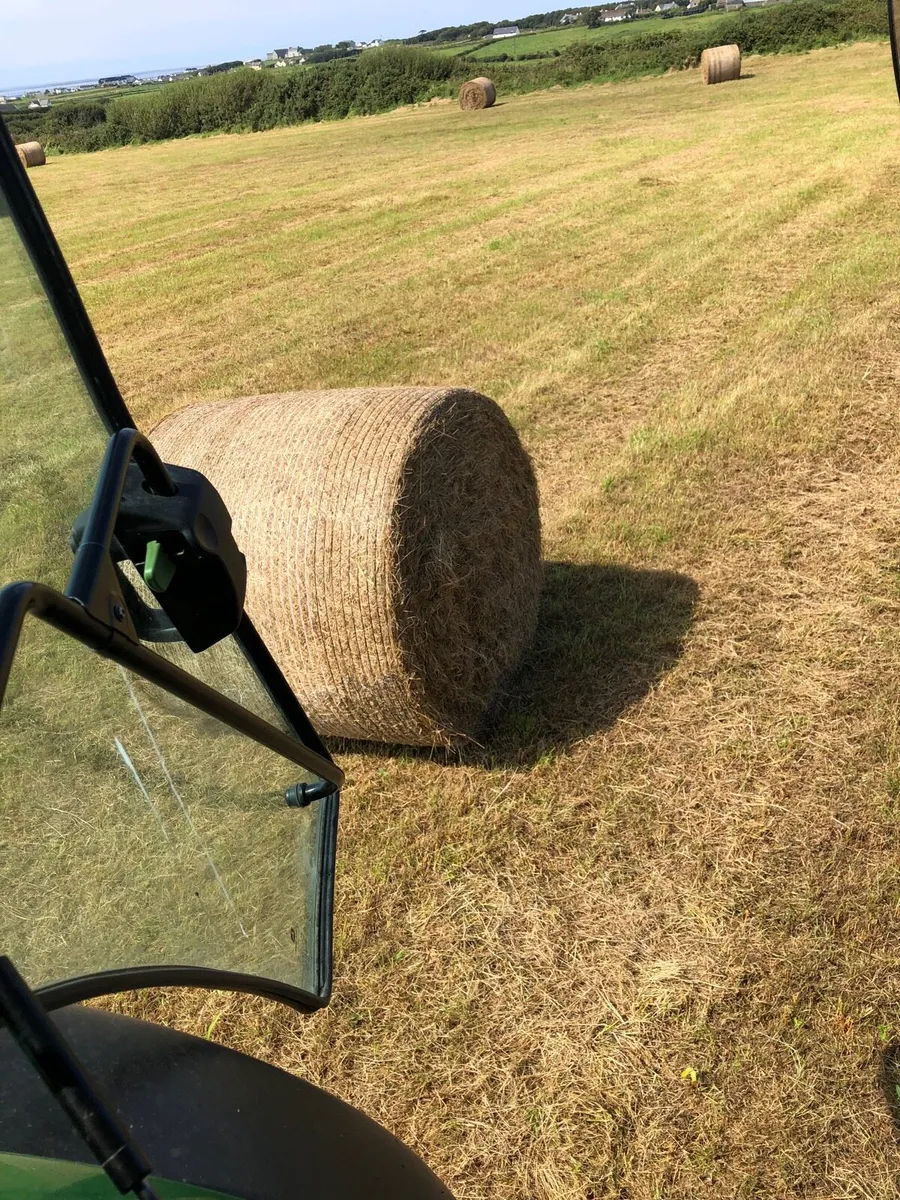 Hay bales - Image 4