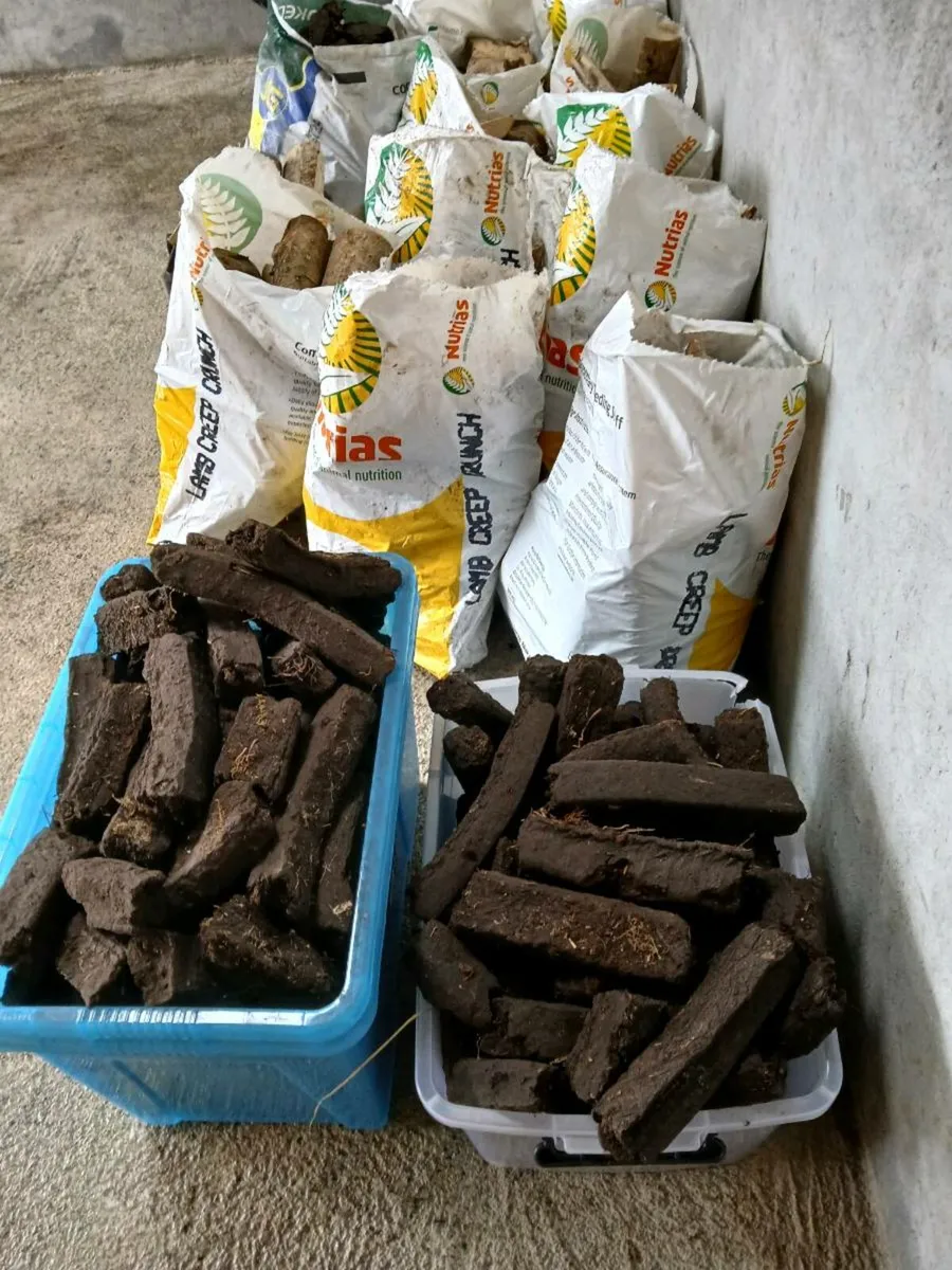 Fire wood - Image 3