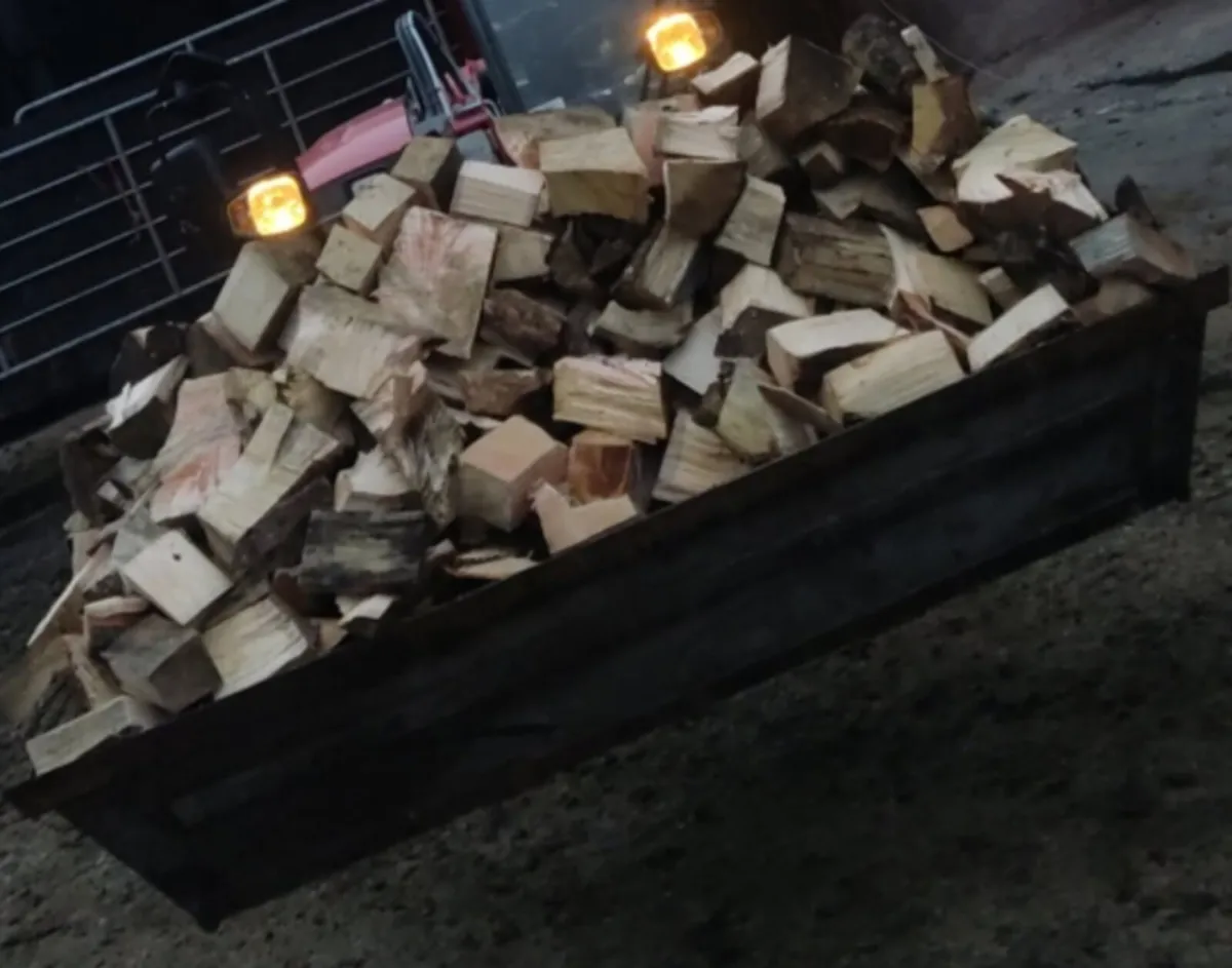 Seasoned firewood for sale - Image 2