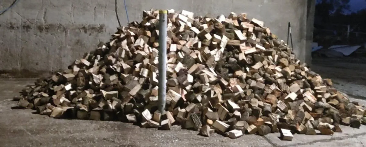 Seasoned firewood for sale - Image 1