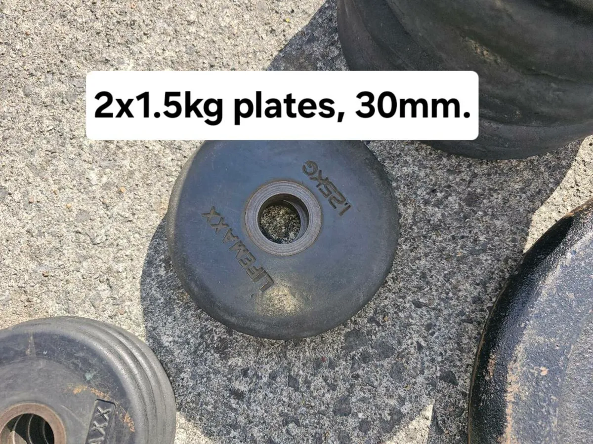 Strength training bar and plates - Image 4