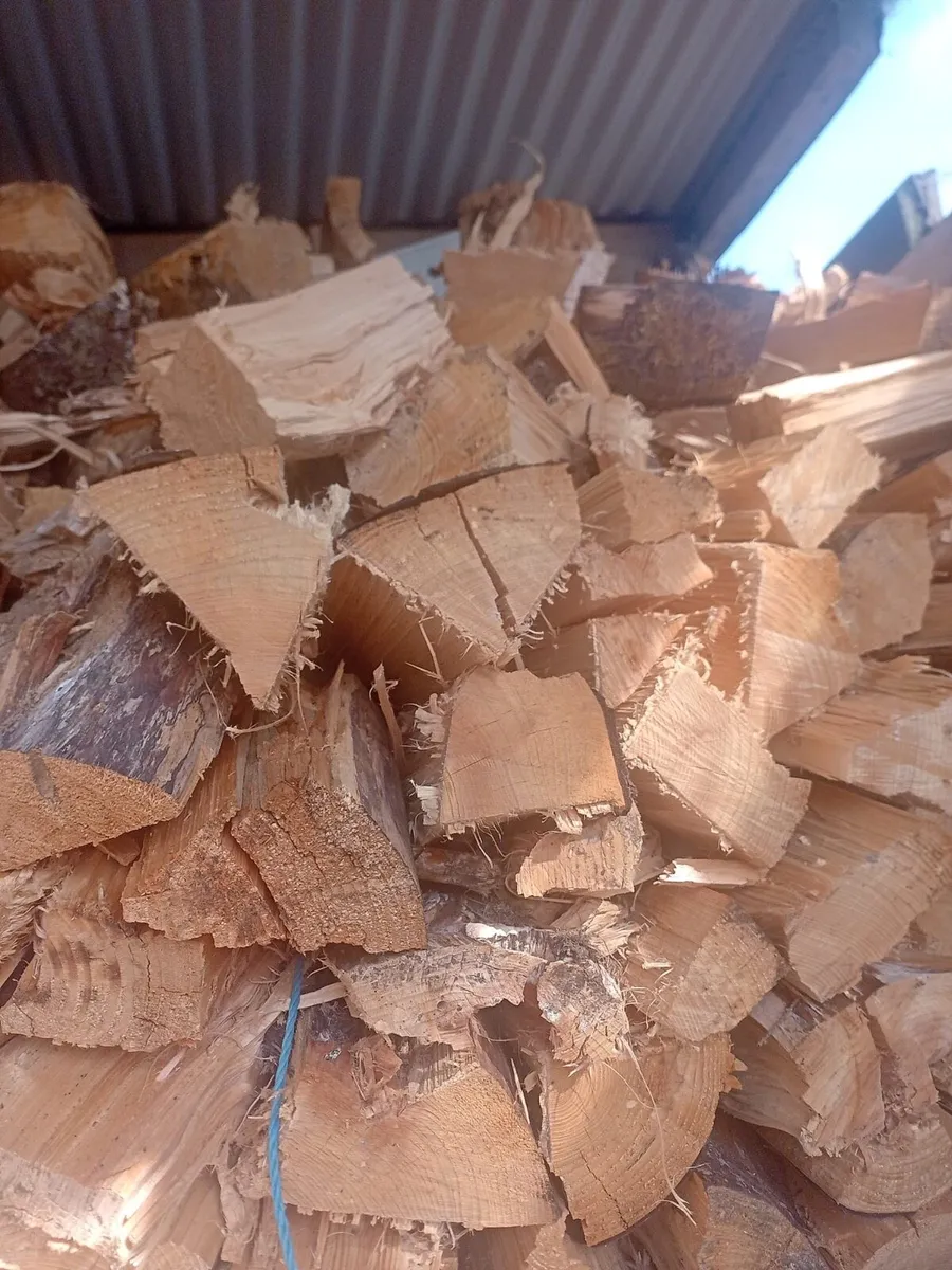 Fire wood - Image 1
