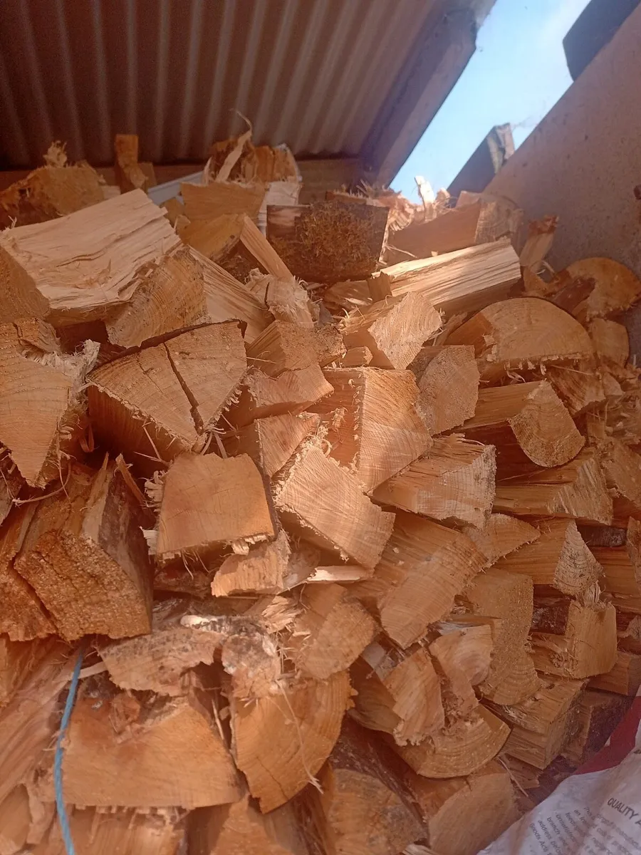 Fire wood - Image 2