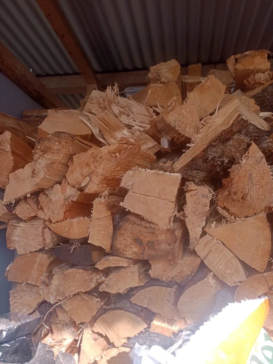 Fire wood - Image 3