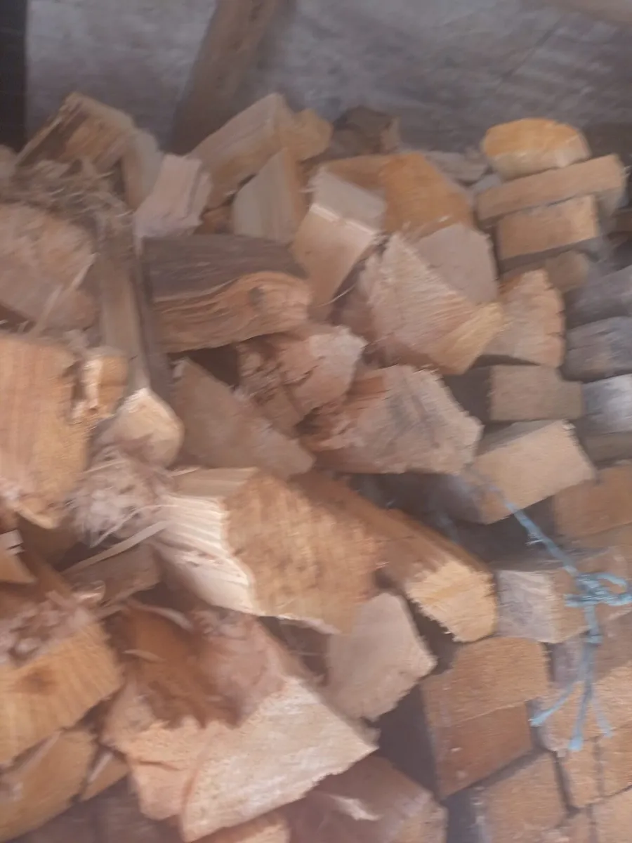 Fire wood - Image 4