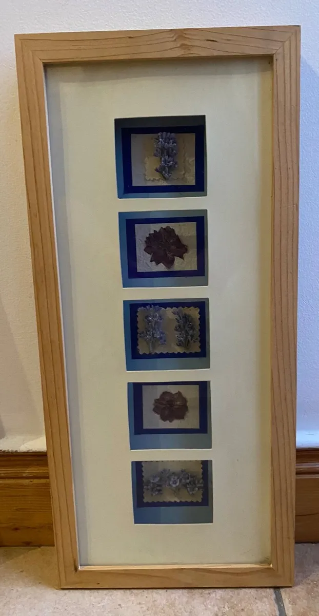 Dried flowers framed