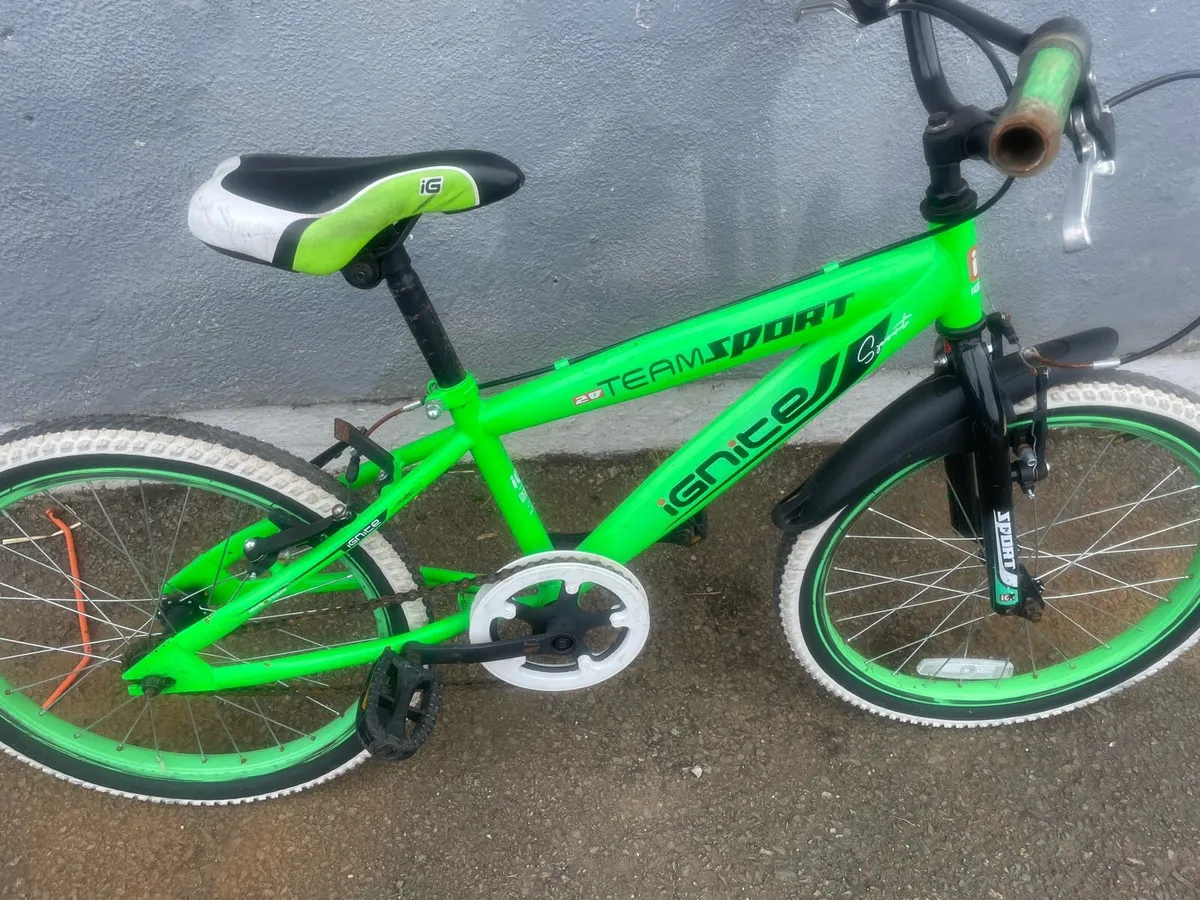 Boys 20 inc bike - Image 4