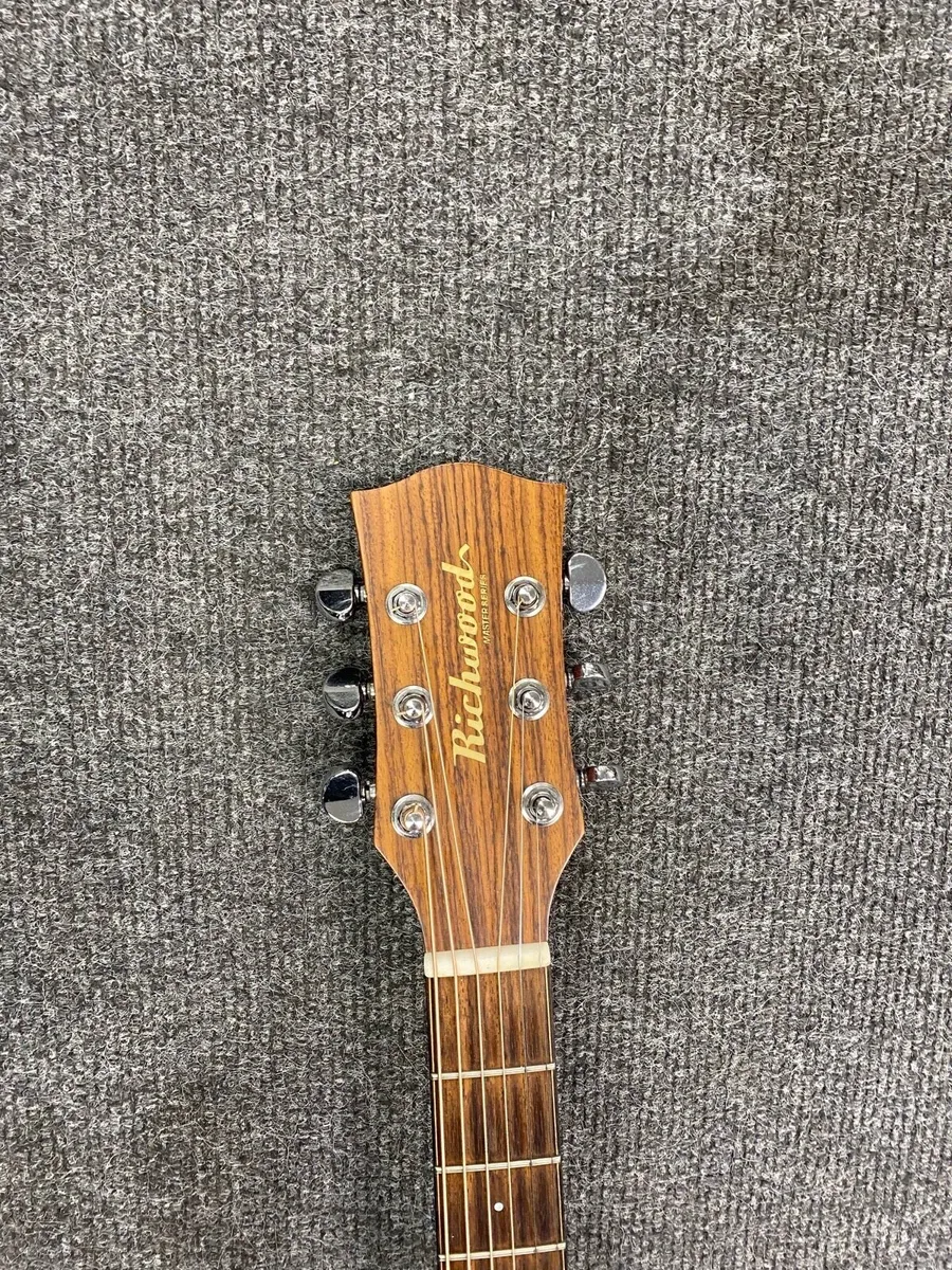 Richwood Semi Acoustic Guitar - Image 3
