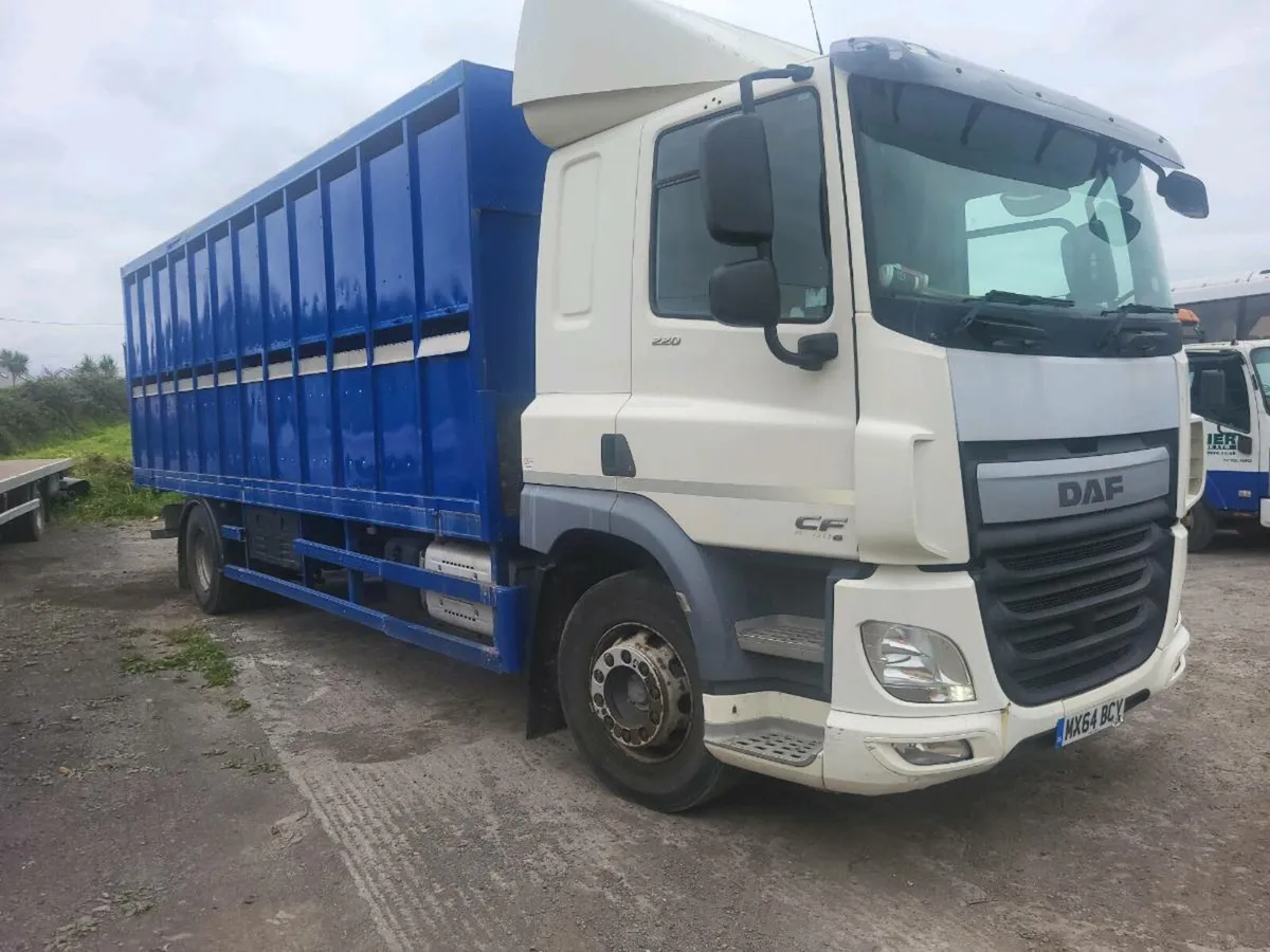 Daf cattle lorry - Image 1