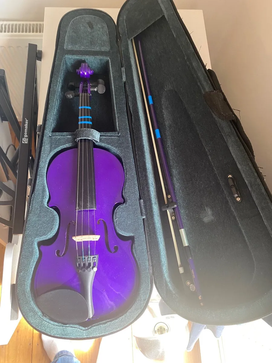 Violin