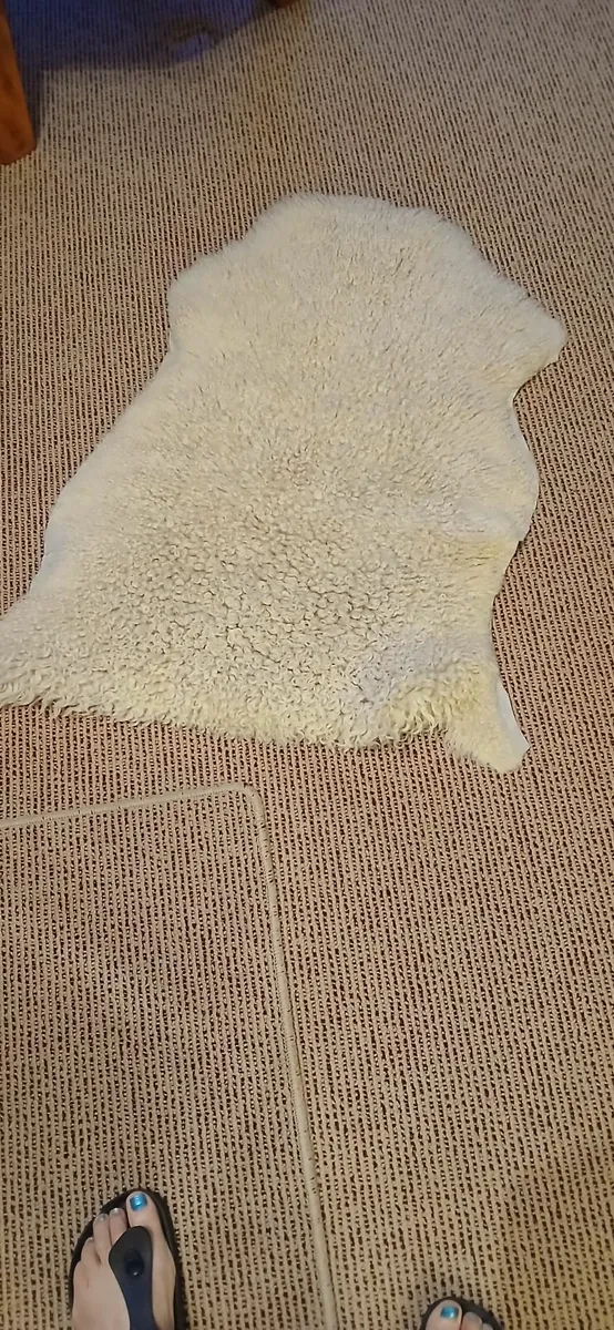 Sheepskin Rugs - Image 3