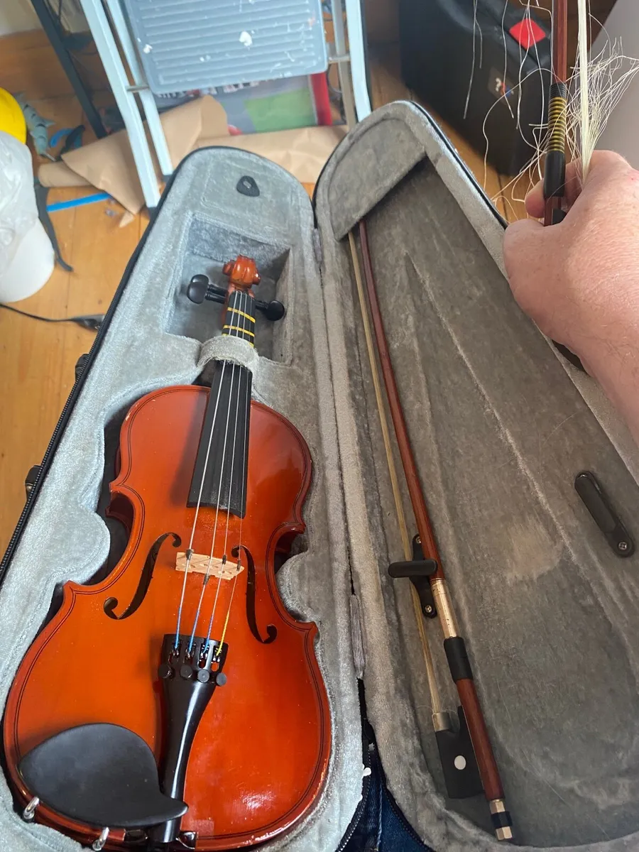 Violin