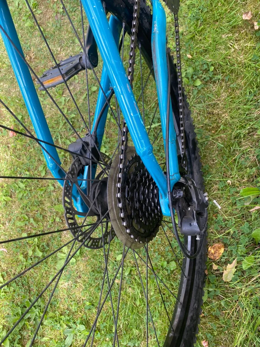 Bike - Image 4