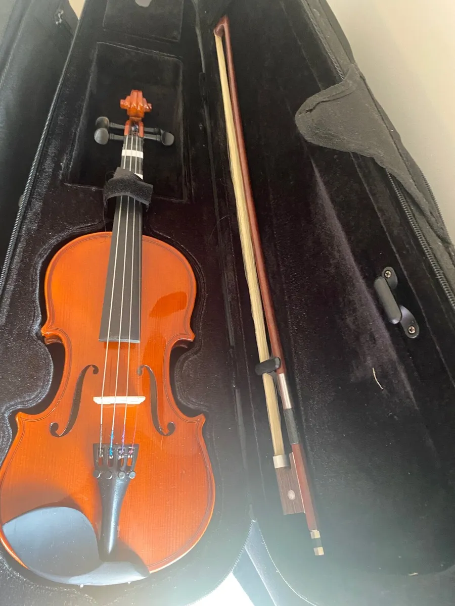 Violin