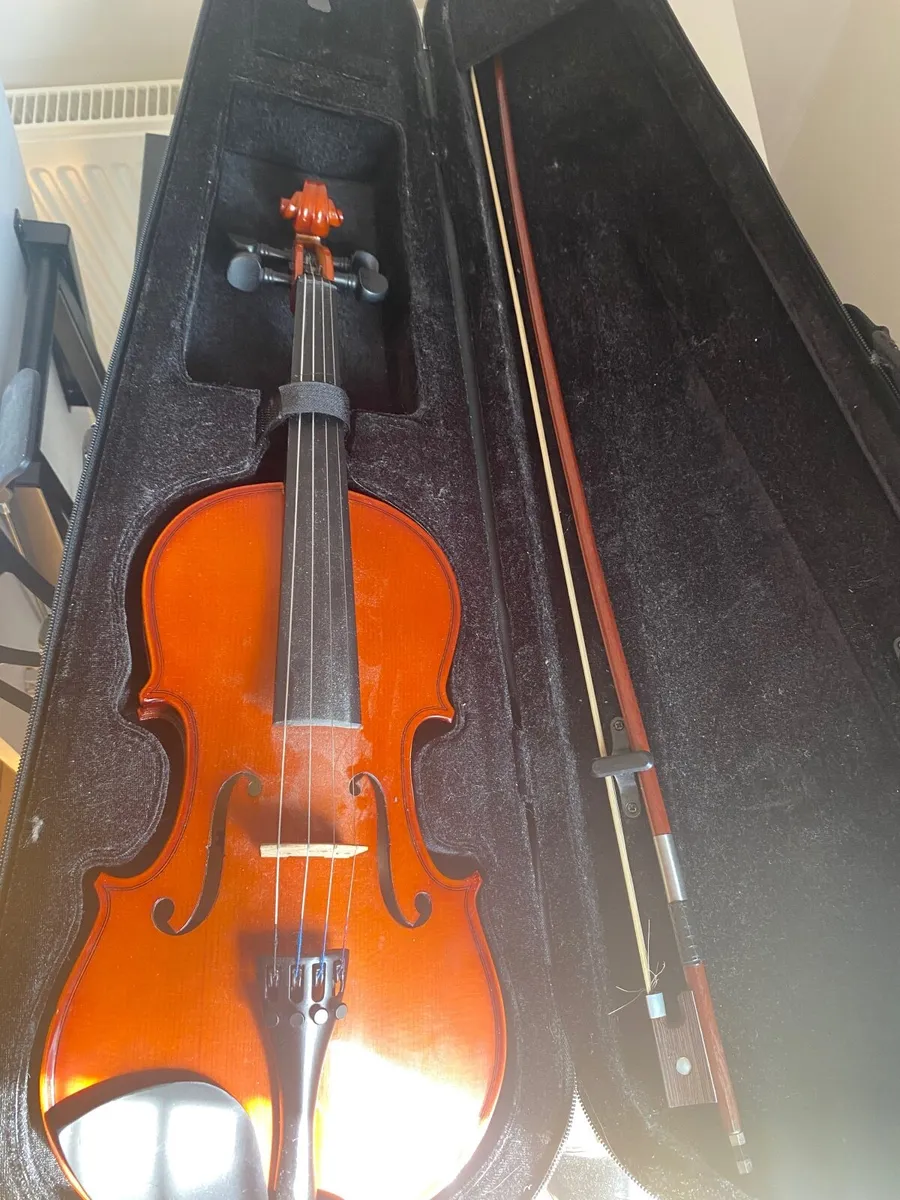 Violin