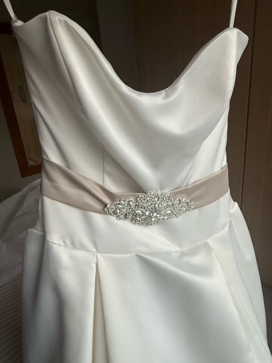 Wedding Dress and Veil - Image 3