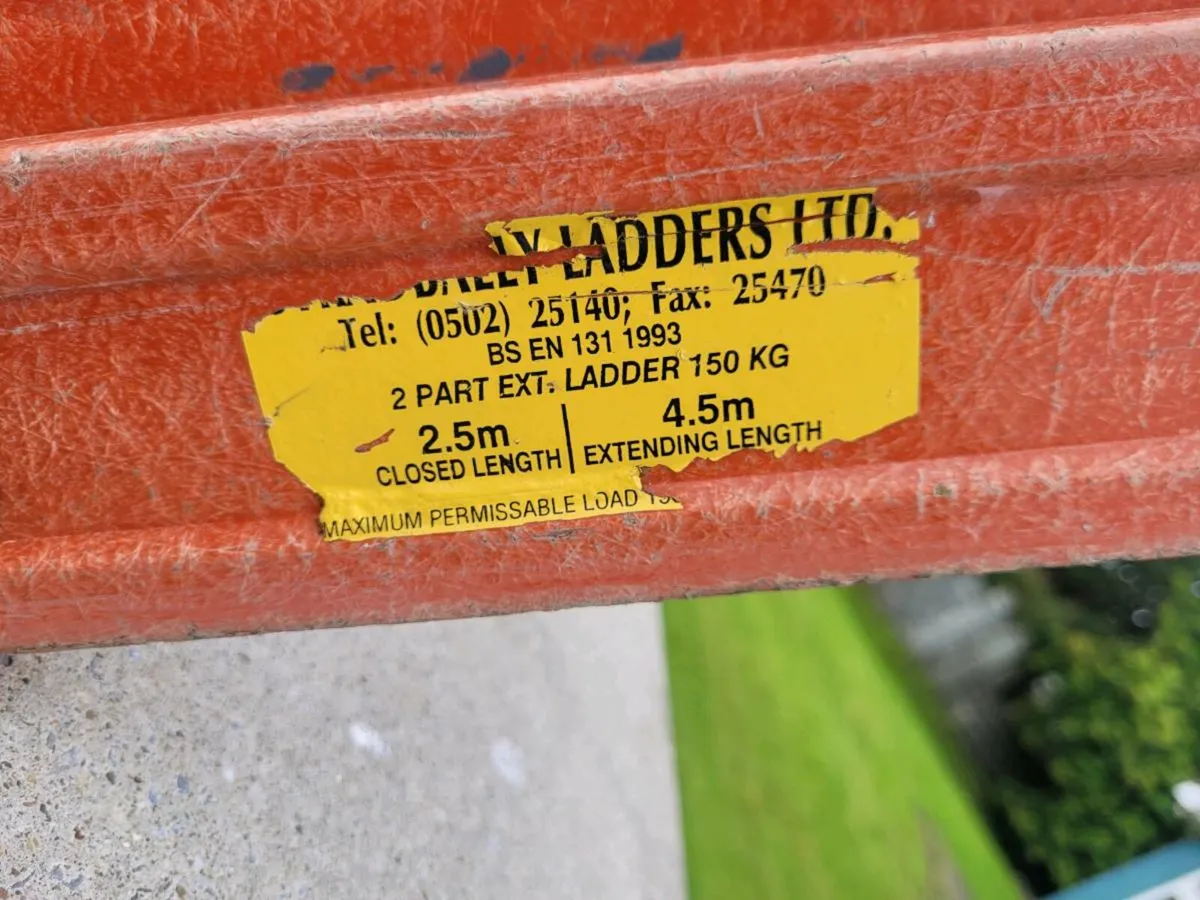 Esb double ladder - Image 3