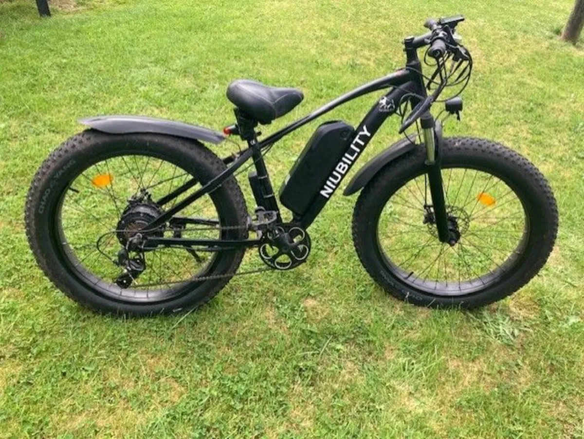 Electric bike
