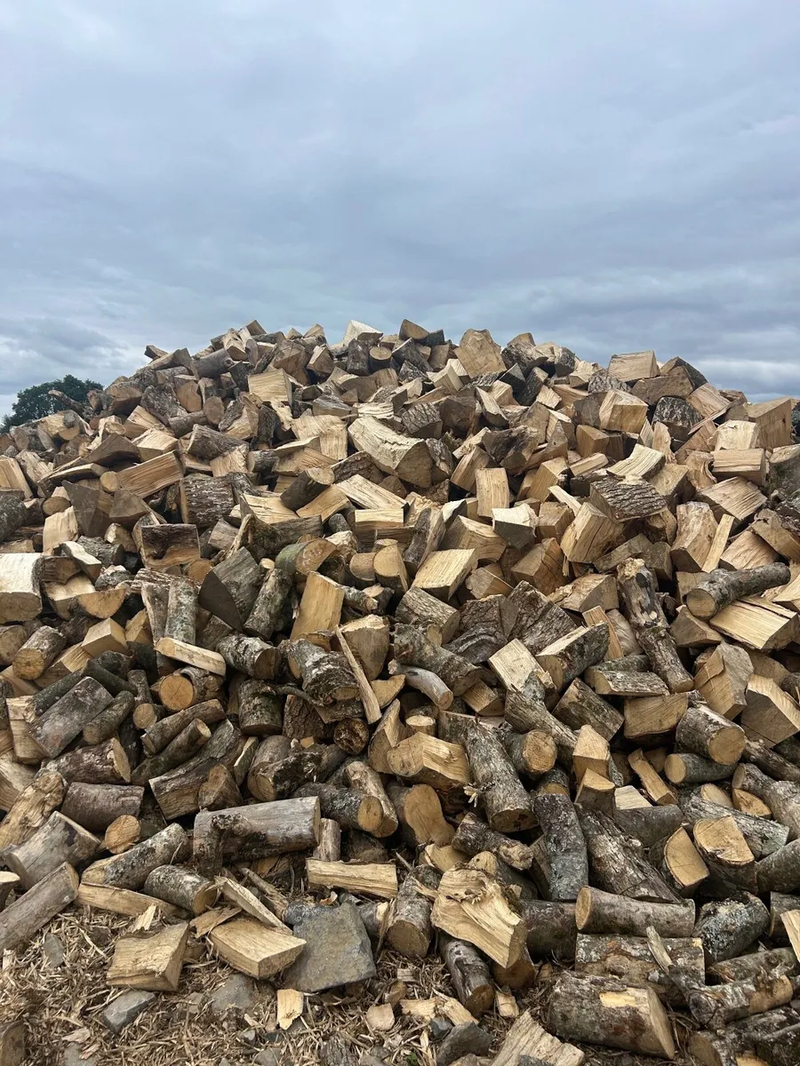 Processed firewood - Image 1
