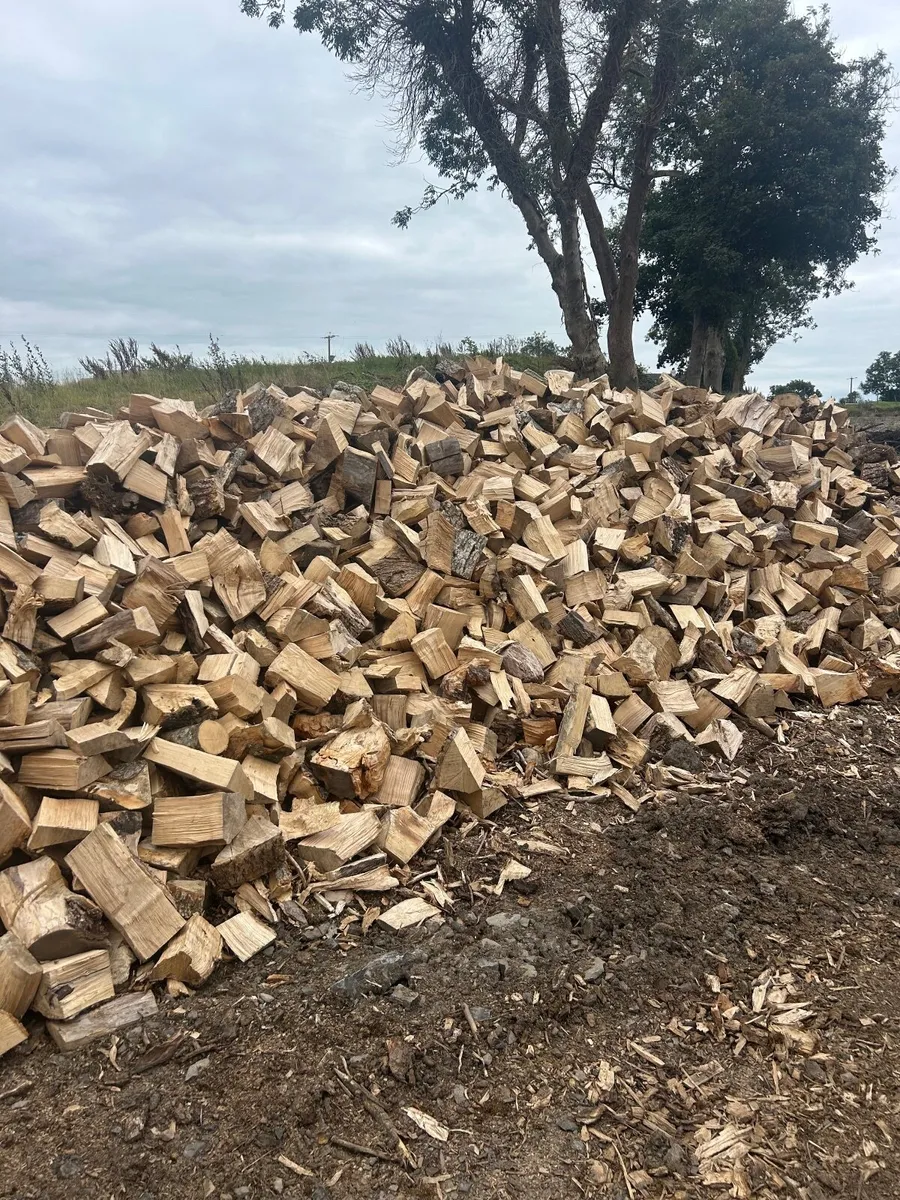 Processed firewood - Image 2