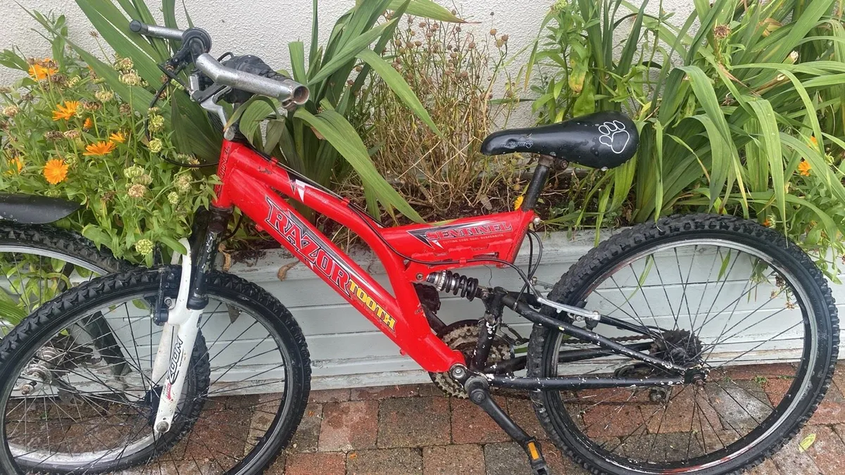 Kids bike