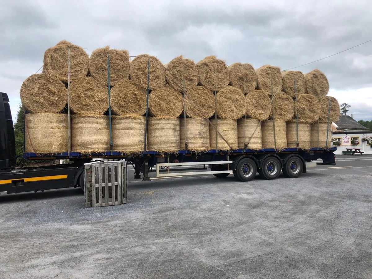 STRAW + HORSEHAY. - Image 1