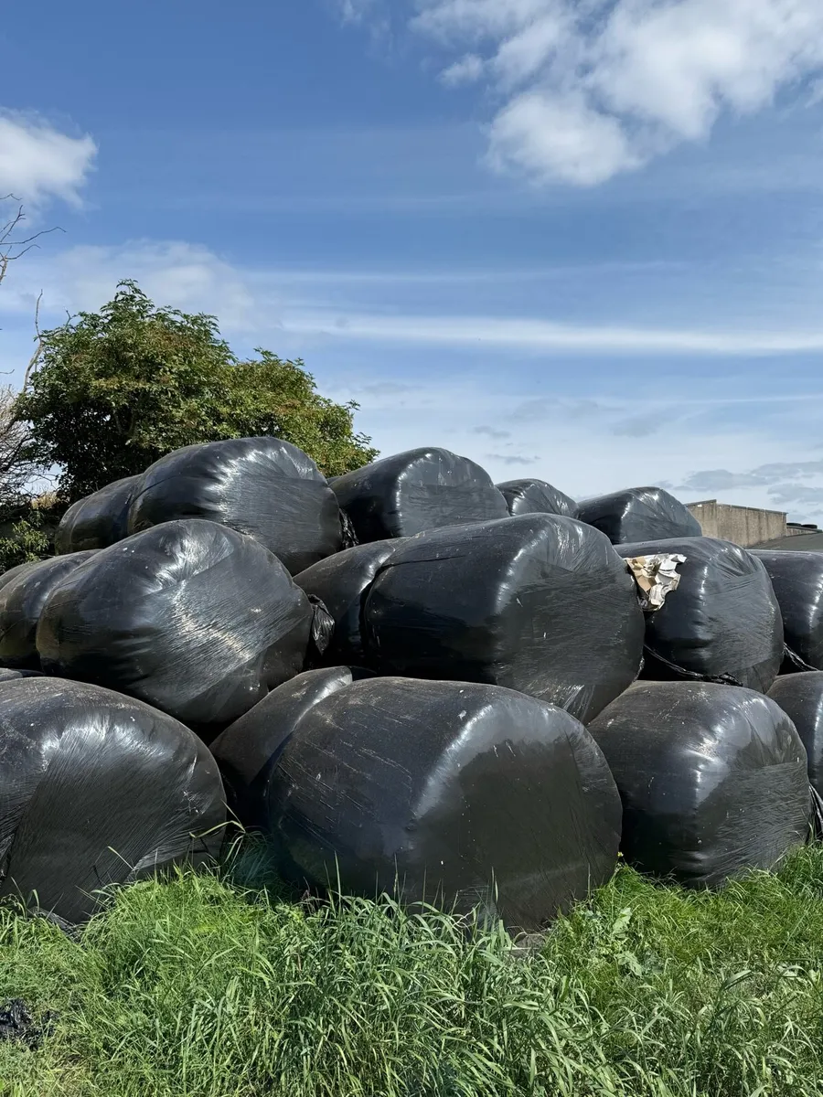 Silage - Round Bales - Image 3