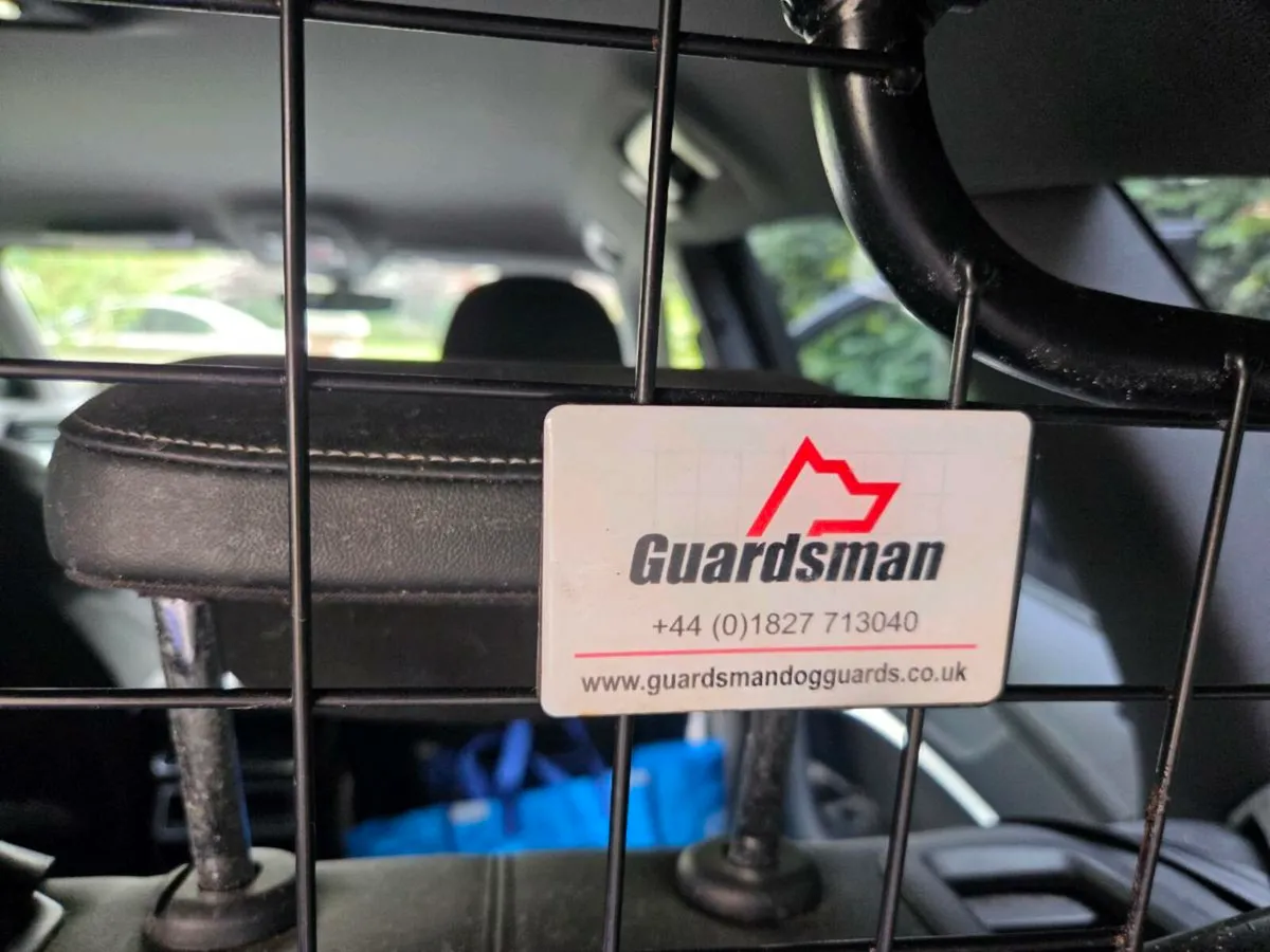 Audi A6 dog guard - Guardsman - Image 1