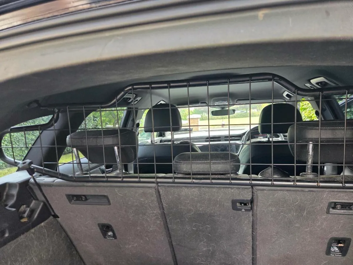 Audi A6 dog guard - Guardsman - Image 3