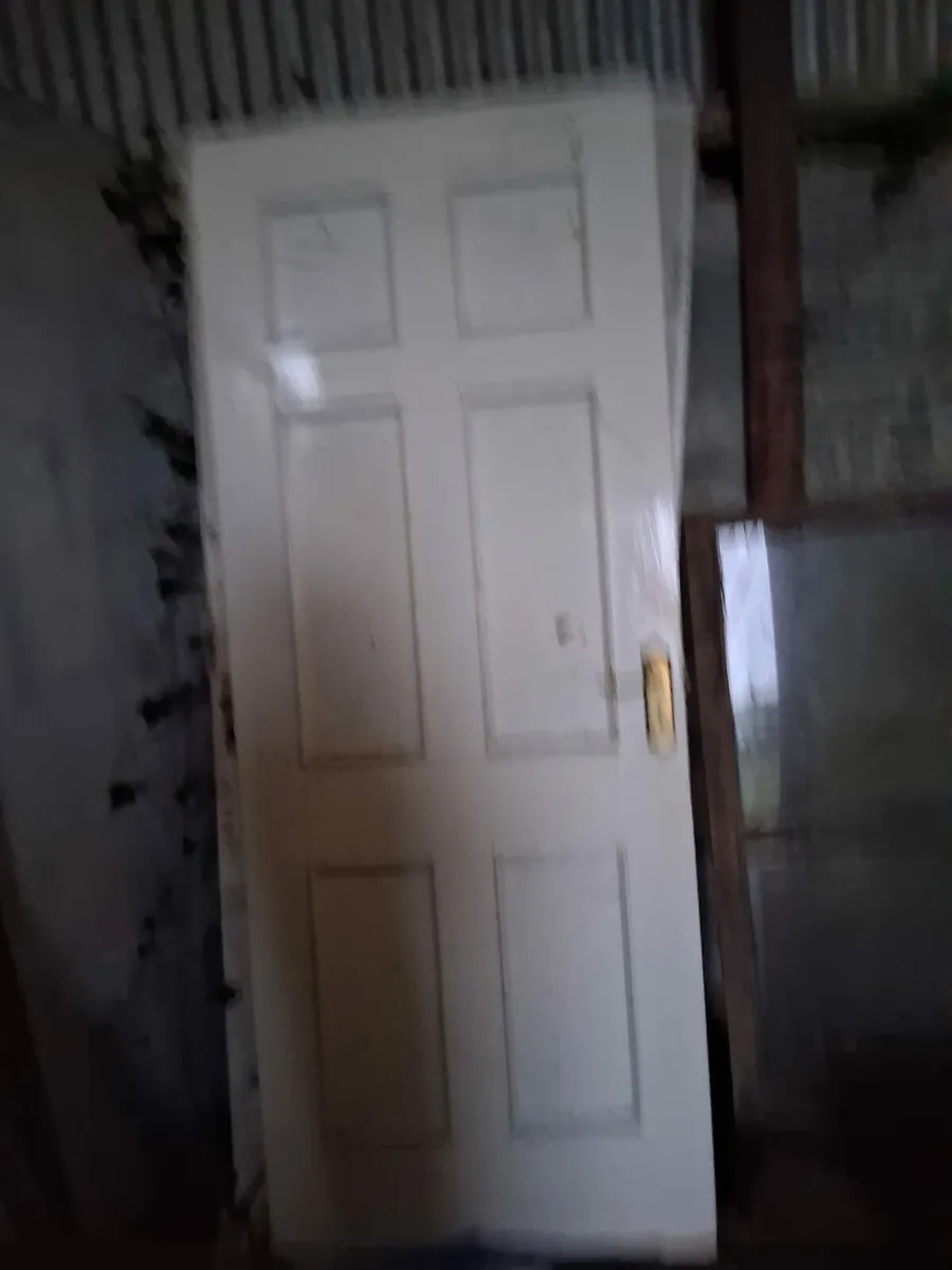 Doors - Image 2