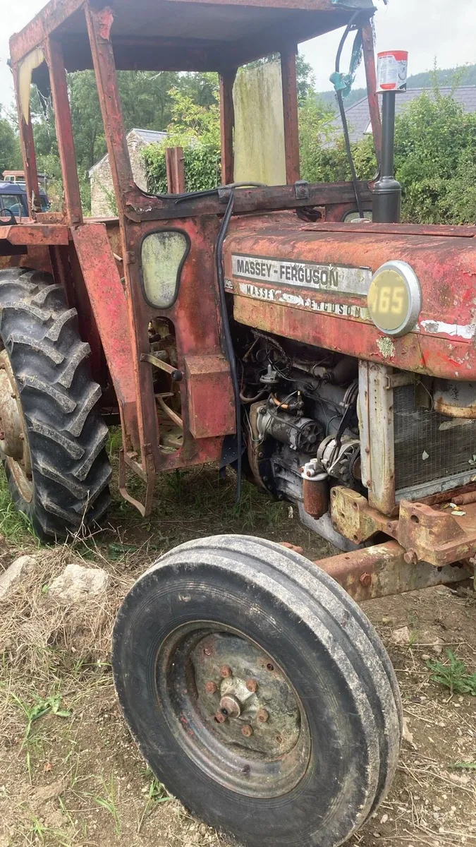 Wanted old Massey Ferguson 165 168 188