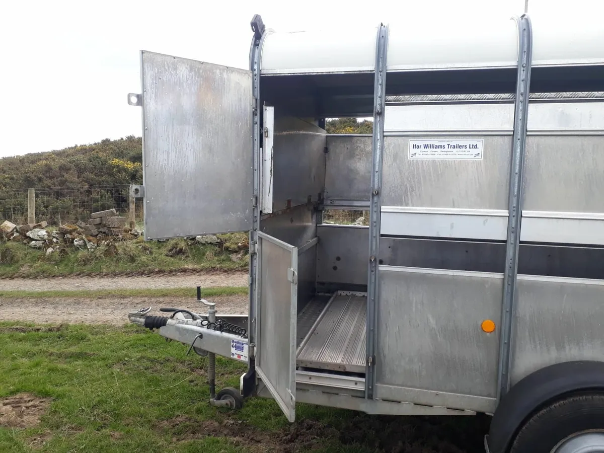 Ifor Williams Cattle Trailer - Image 3