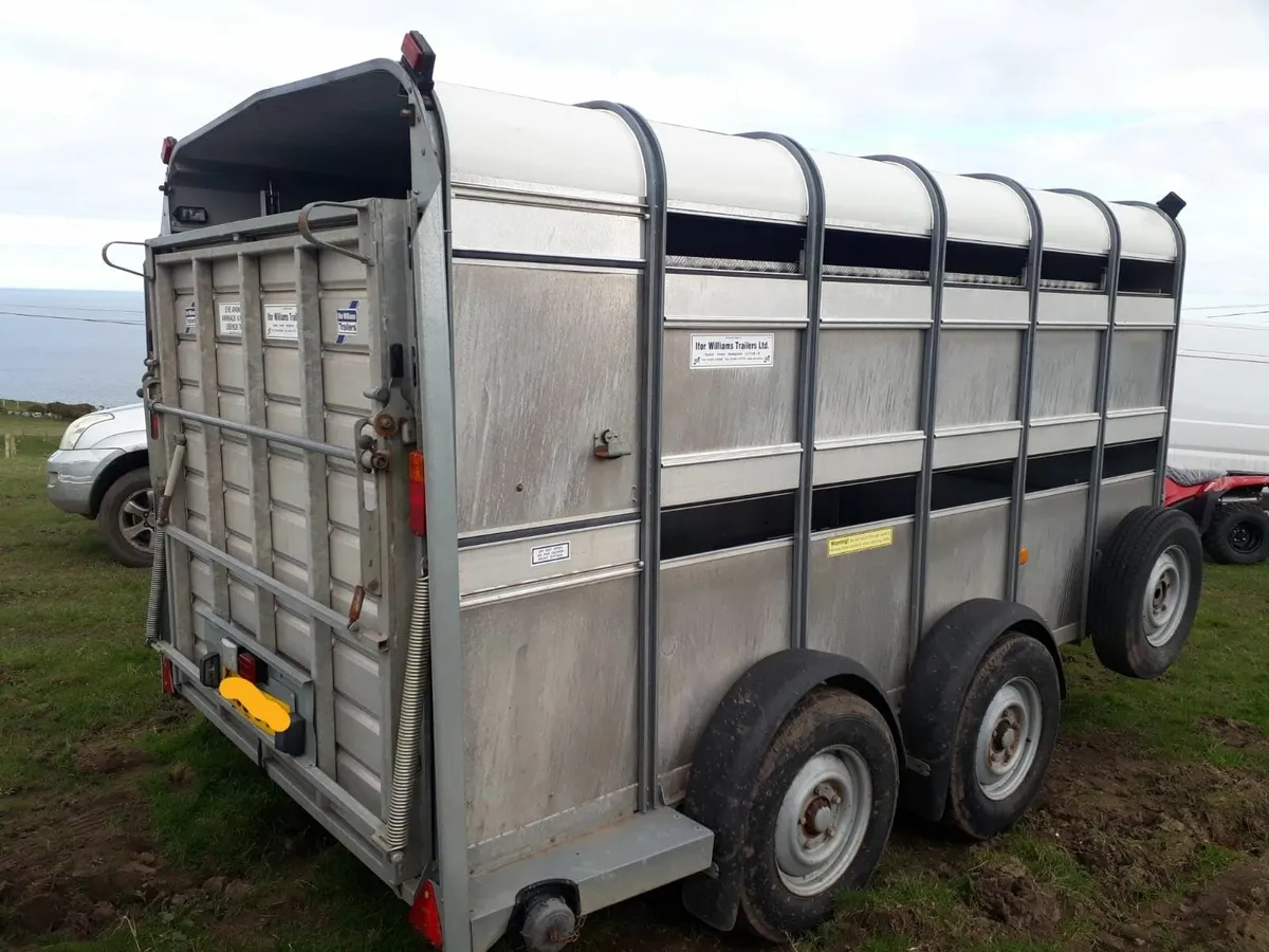 Ifor Williams Cattle Trailer - Image 4
