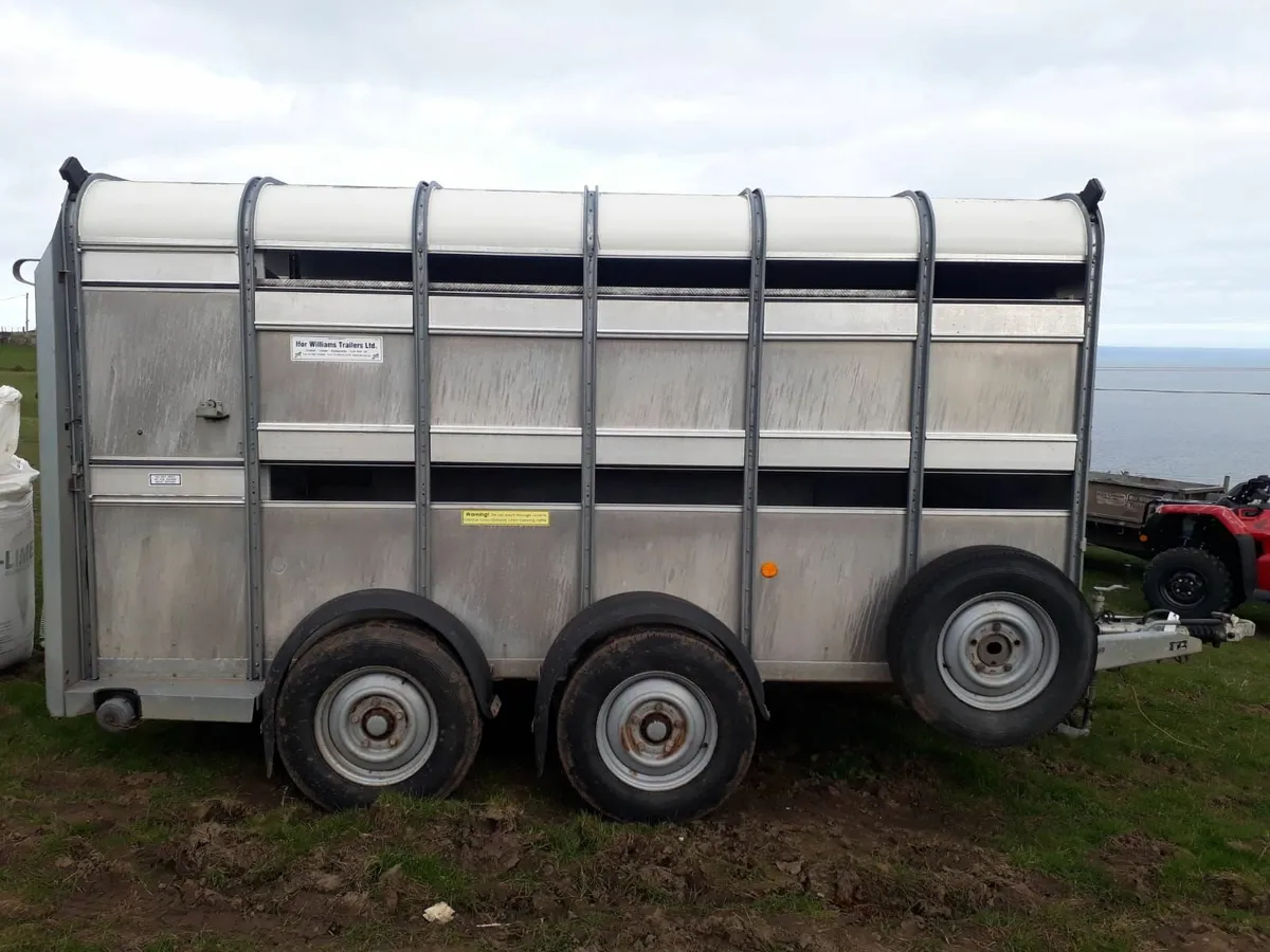 Ifor Williams Cattle Trailer - Image 1