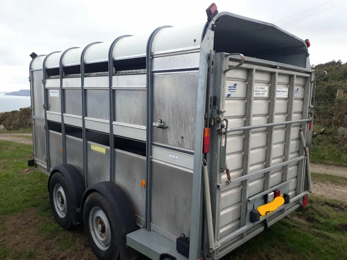 Ifor Williams Cattle Trailer - Image 2