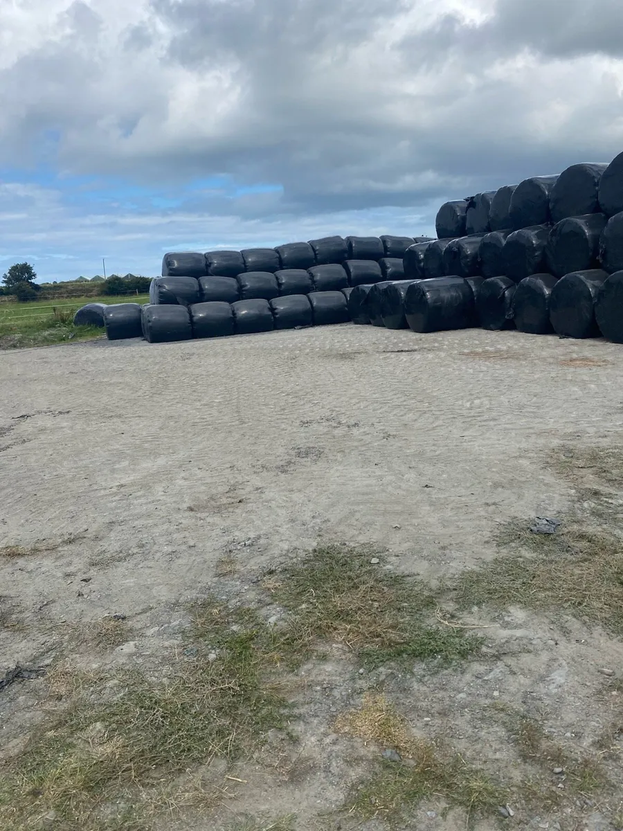 Silage - Image 3