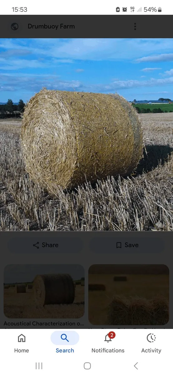 Wheat and Oaten straw for sale - Image 2