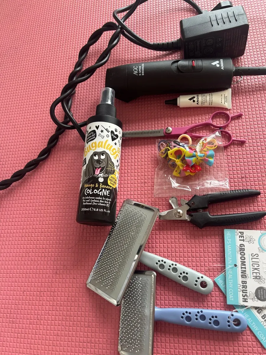 Dog grooming starter kit - Image 3