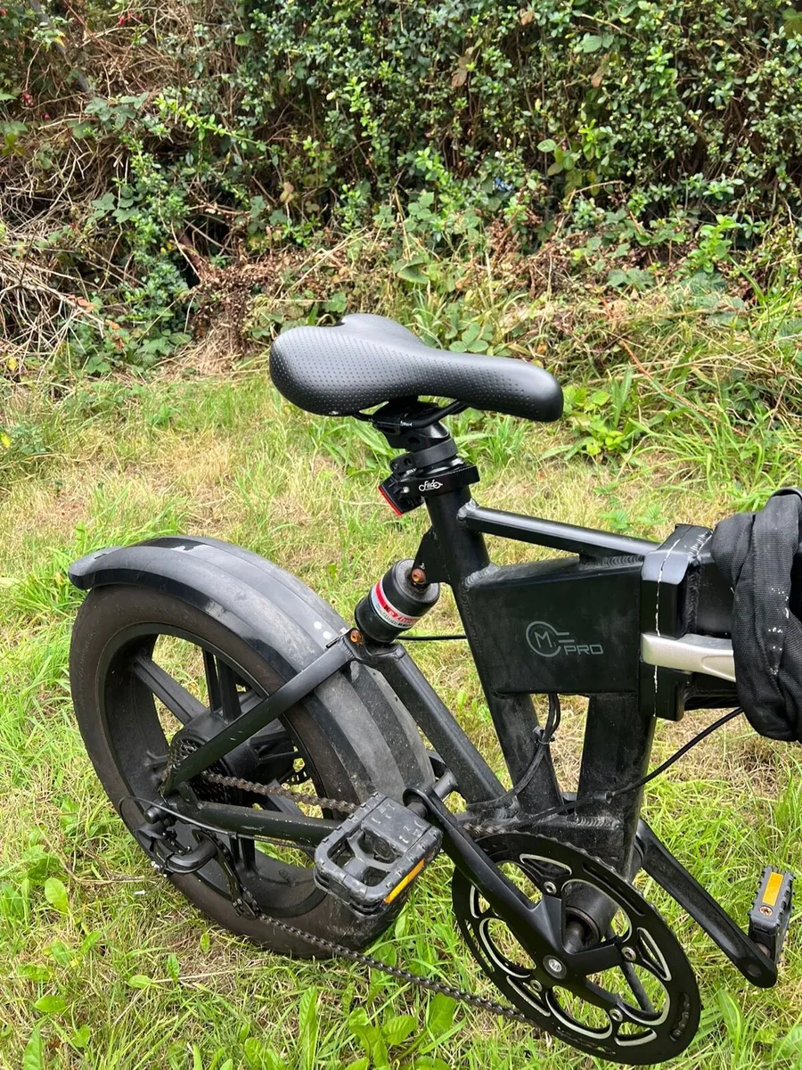 Fiido M1 Pro 2024 Electric Bike + Extra Battery - Image 2