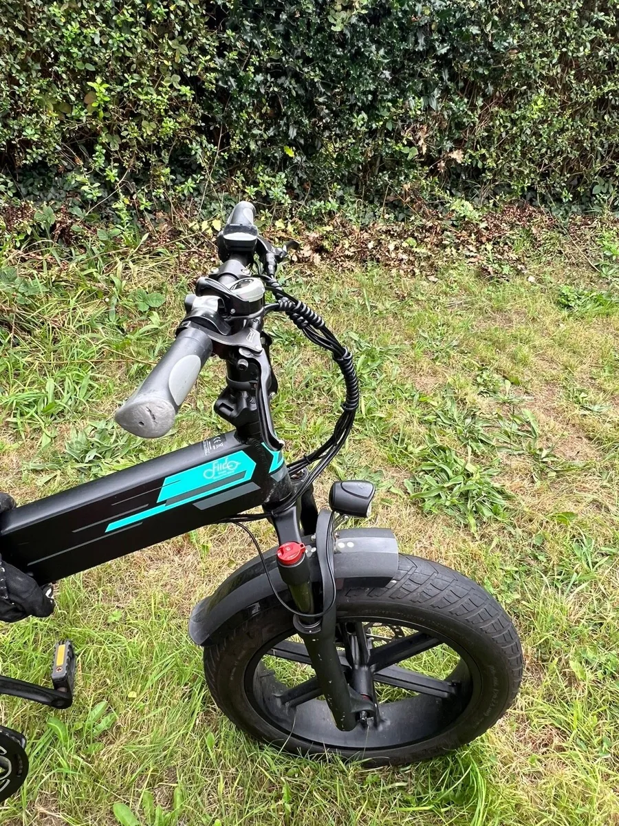 Fiido M1 Pro 2024 Electric Bike + Extra Battery - Image 3