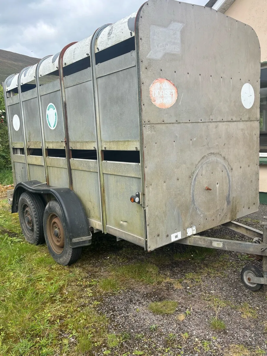 Ifor Williams box - Image 1