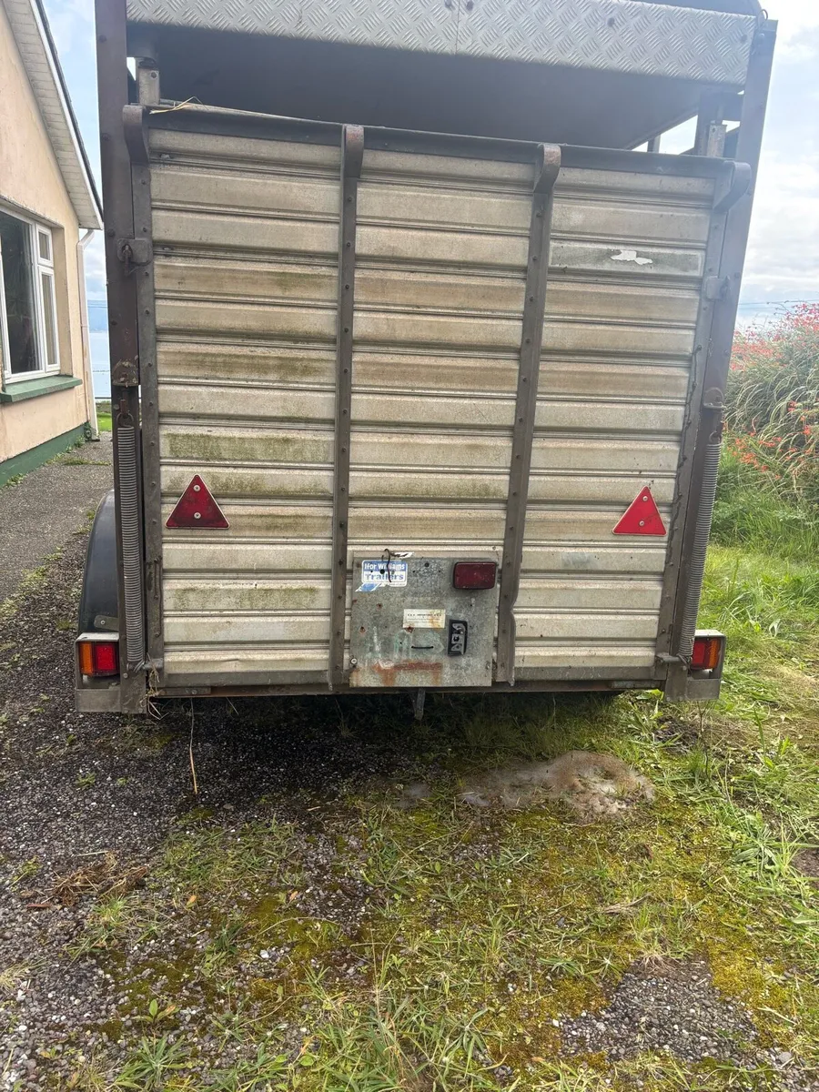 Ifor Williams box - Image 2
