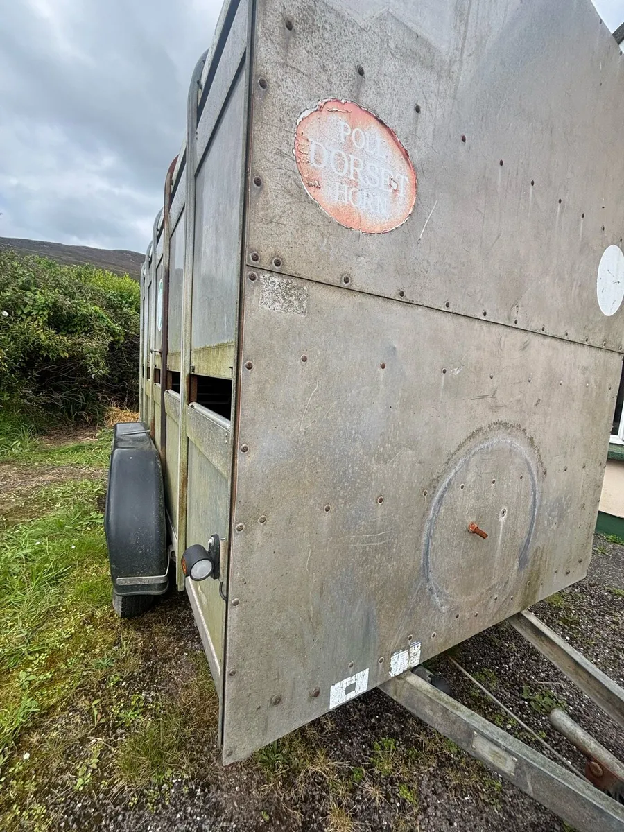 Ifor Williams box - Image 3