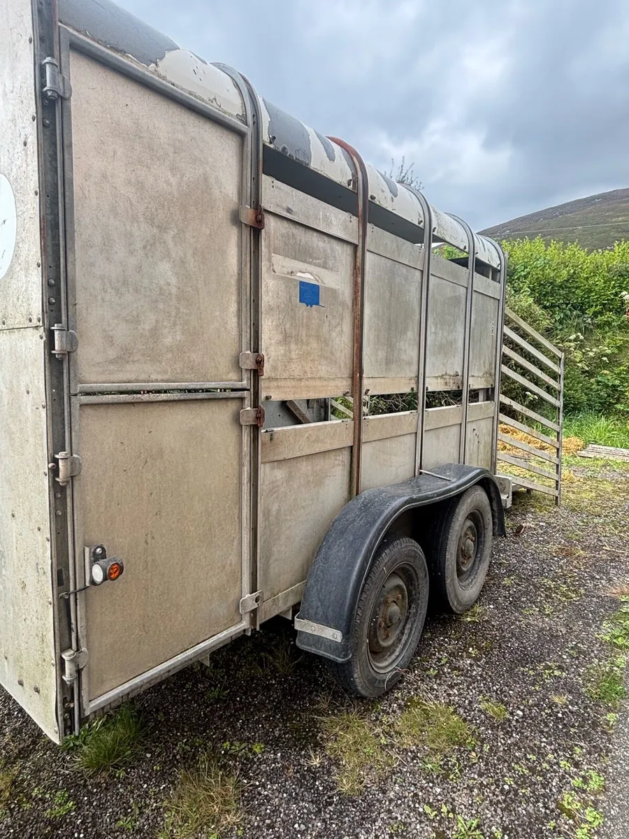 Ifor Williams box - Image 4