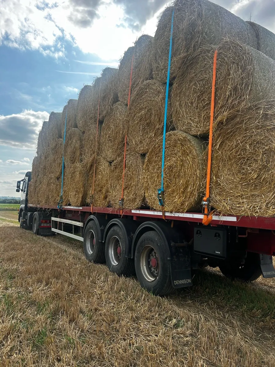 Straw - Image 1