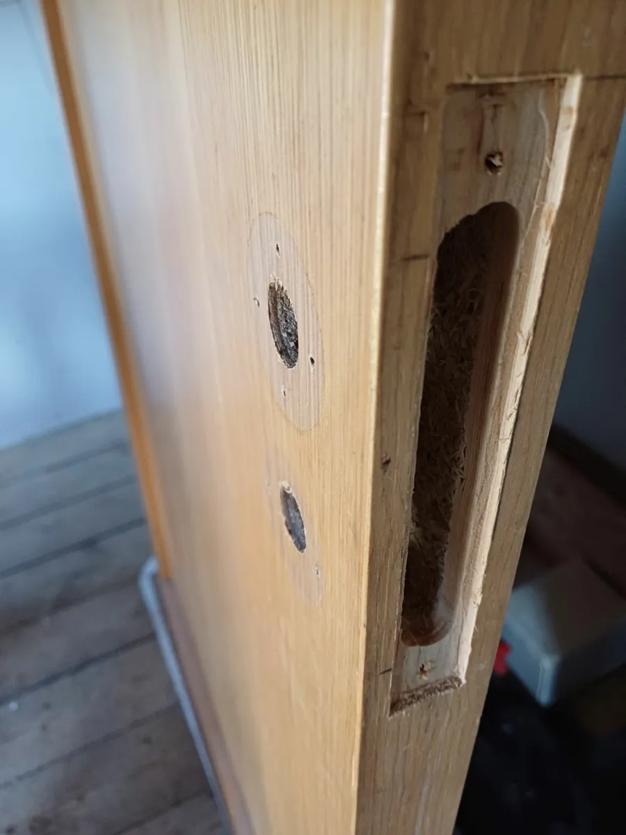 DEANTA LIGHT OAK DOOR - Image 1