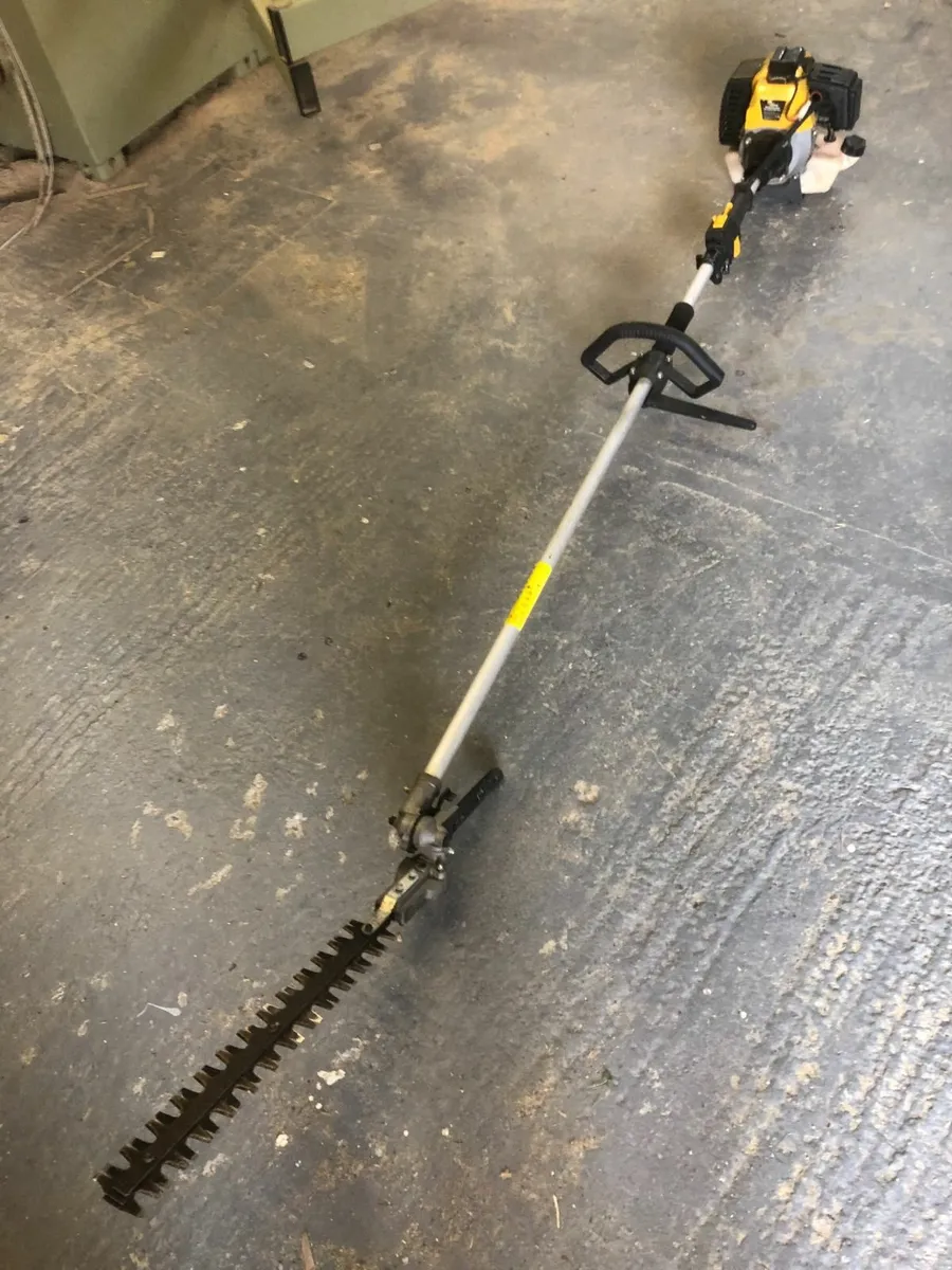 Petrol Long Pole Hedge Cutter - Image 1